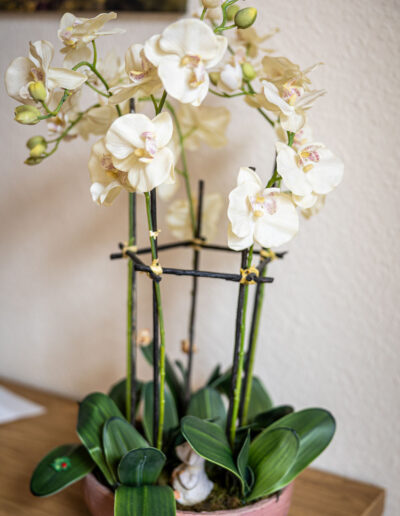 hysioremedium, Praxis Physiotherapie Christin Döring, Sebnitz